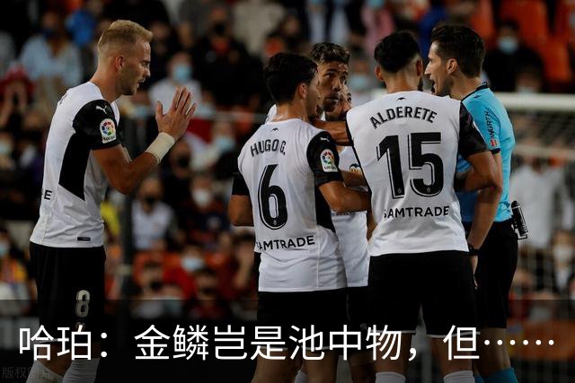 哈珀：金鳞岂是池中物，但……
